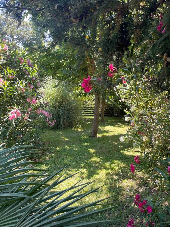 Gites Au Chateau Des Estubiers Les Granges-Gontardes Dış mekan fotoğraf