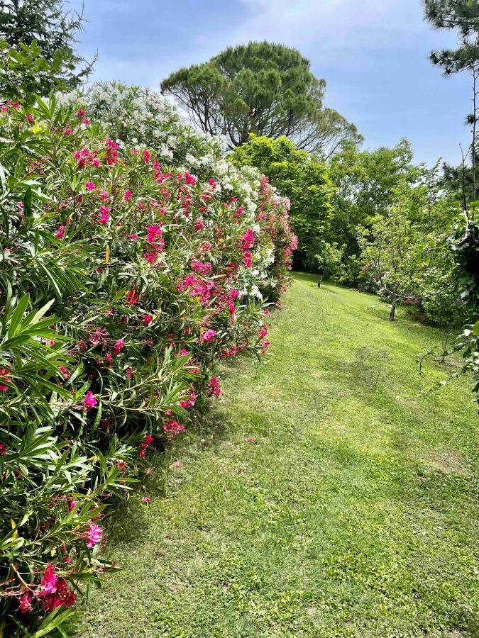 Gites Au Chateau Des Estubiers Les Granges-Gontardes Dış mekan fotoğraf